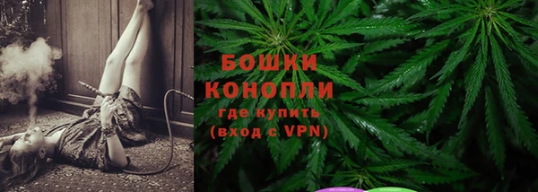 амф Верея