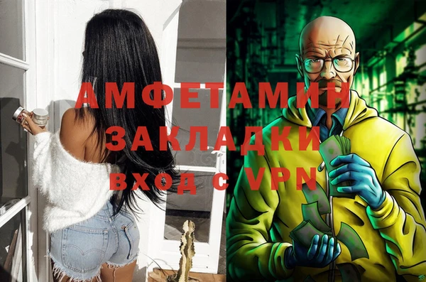 амф Верея