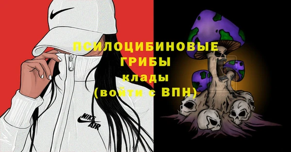 амф Верея