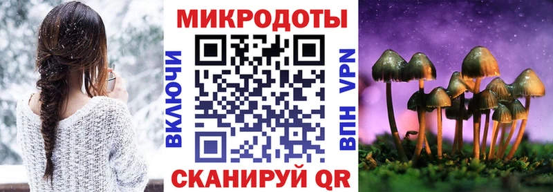 Галлюциногенные грибы Psilocybine cubensis  Вольск 